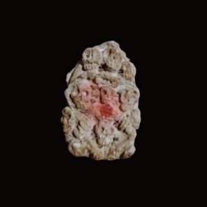 Rare! Powerful Prai Kasip Amulet 9 Spirits Within!