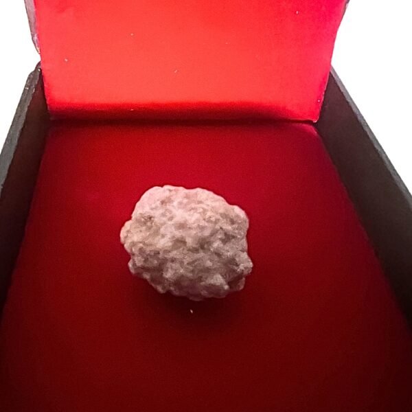 Sarira of Phra Sivali Relic of the Ever-Blessed | Embodied Aura of Boundless Merit & Unhindered Flow - Image 2