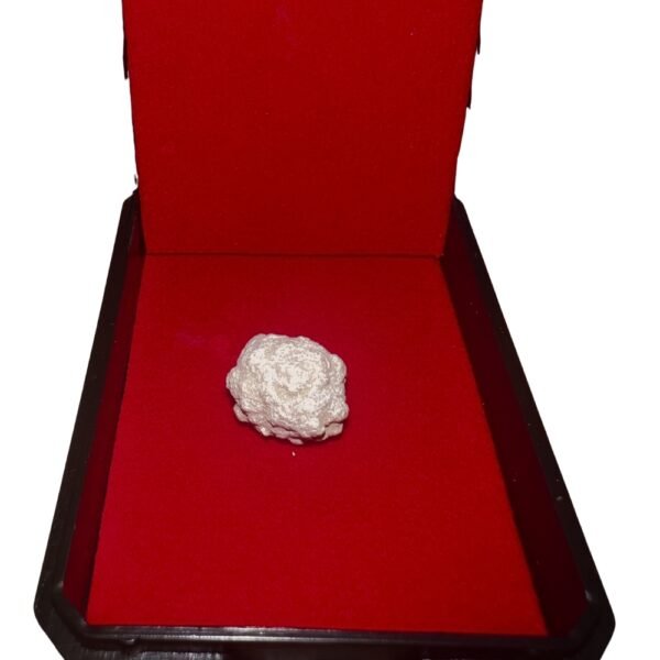 Sarira of Phra Sivali Relic of the Ever-Blessed | Embodied Aura of Boundless Merit & Unhindered Flow - Image 5